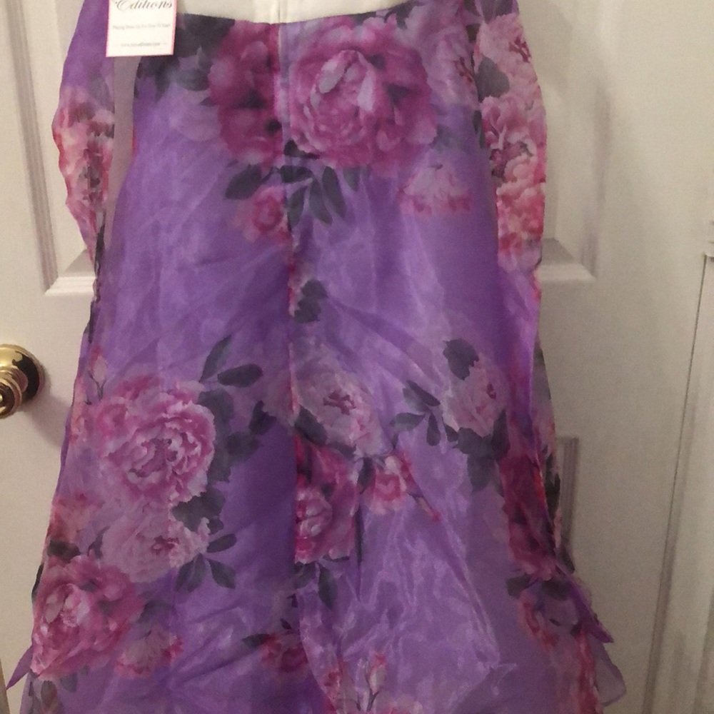 Rare Editions Big Girls Floral Organza Dress - Picture 7 of 11